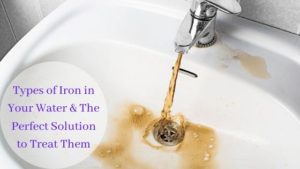 Types of Iron in Your Water & The Perfect Solution to Treat Them